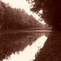Ein Kanal in der Karlsaue